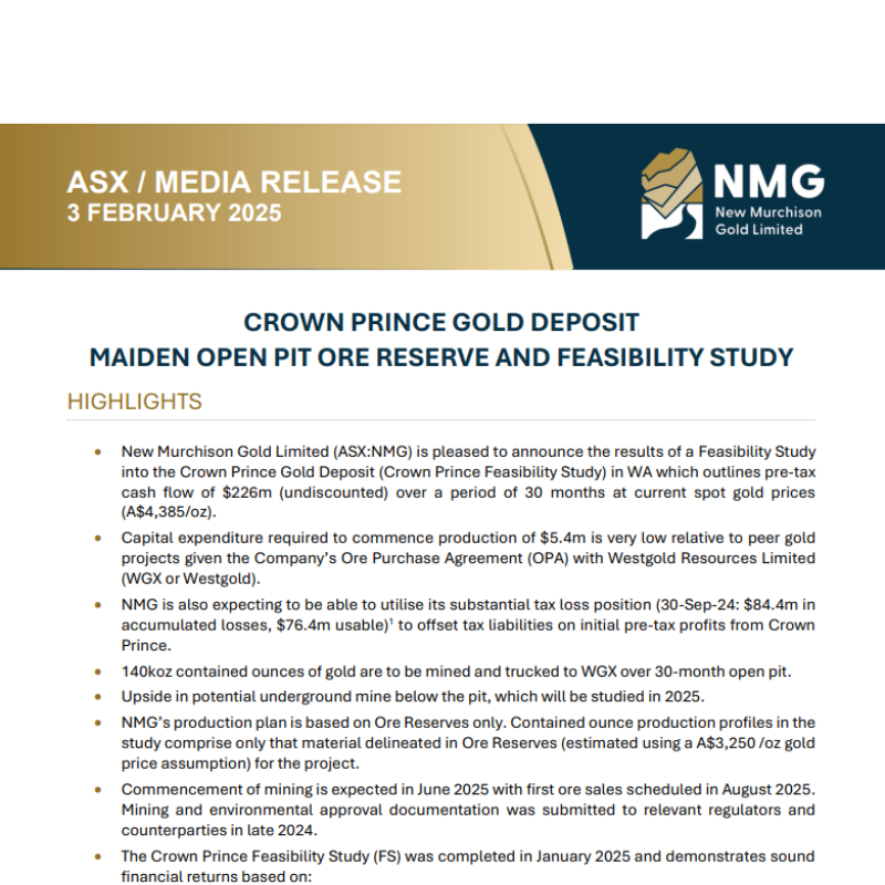 Feasibility Study of New Murchison Gold